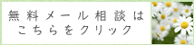 無料メール相談はこちらをクリック